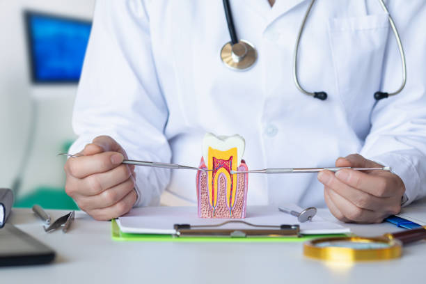 Best Pediatric Emergency Dentist in Northern Cambria, PA